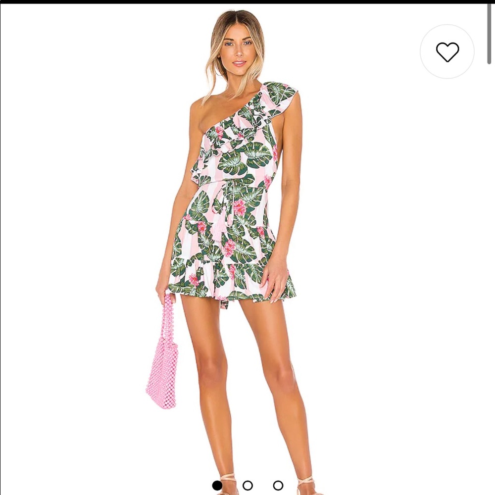Lovers & Friends Amity Mini Dress Pink Palm Stripe from Revolve